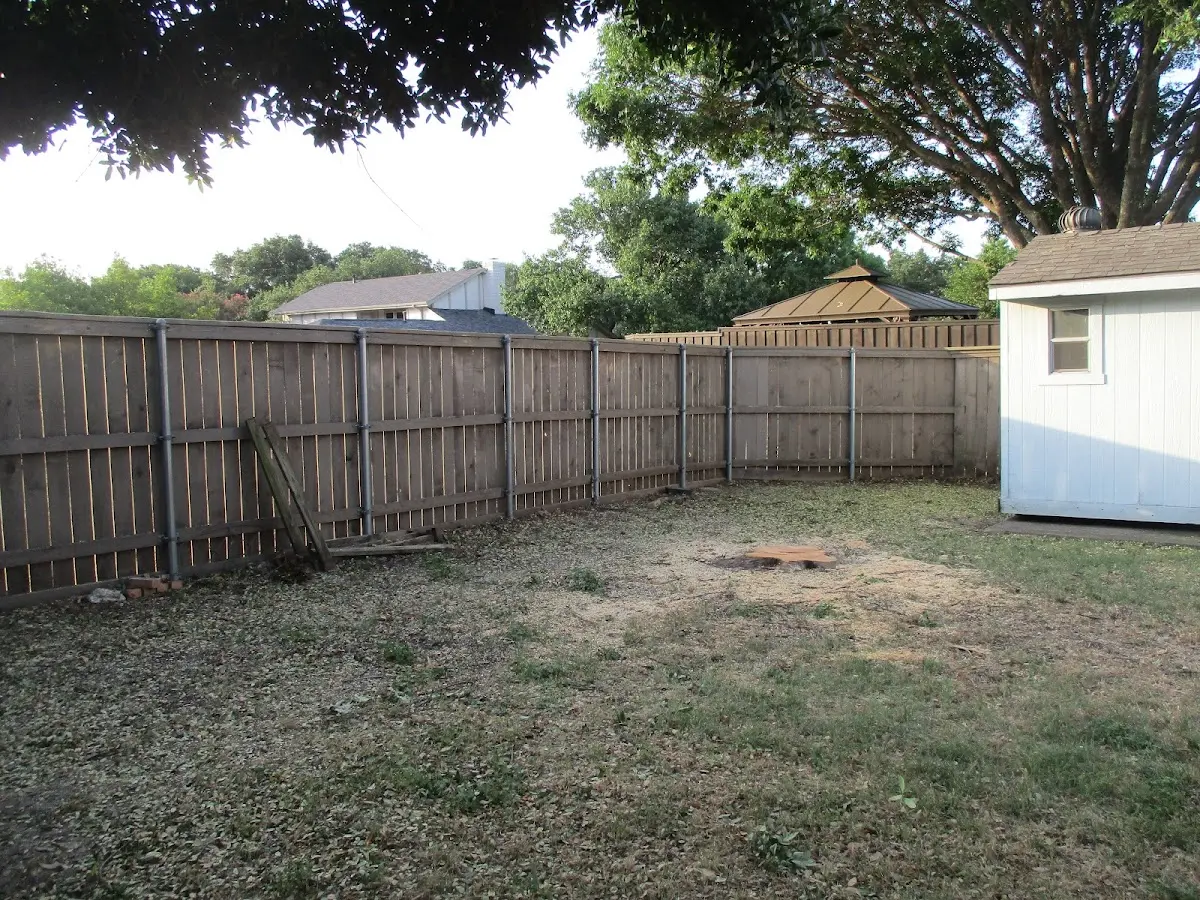Cleared yard after professional tree removal in Fort Mcdowell